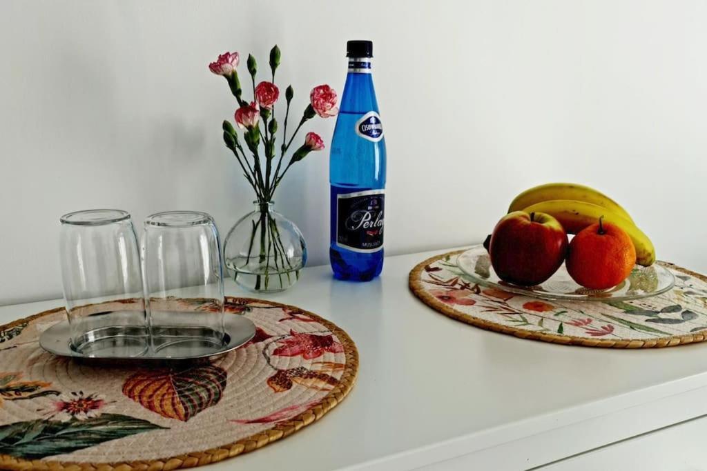 Apartament Poludniowy Z Balkonem 2 Osoby Varşova Dış mekan fotoğraf